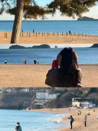 大連傅家莊+銀沙灘+跨海大橋【攻略】