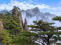 蕪湖黃山四日遊