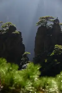 黃山(二) | 松與石