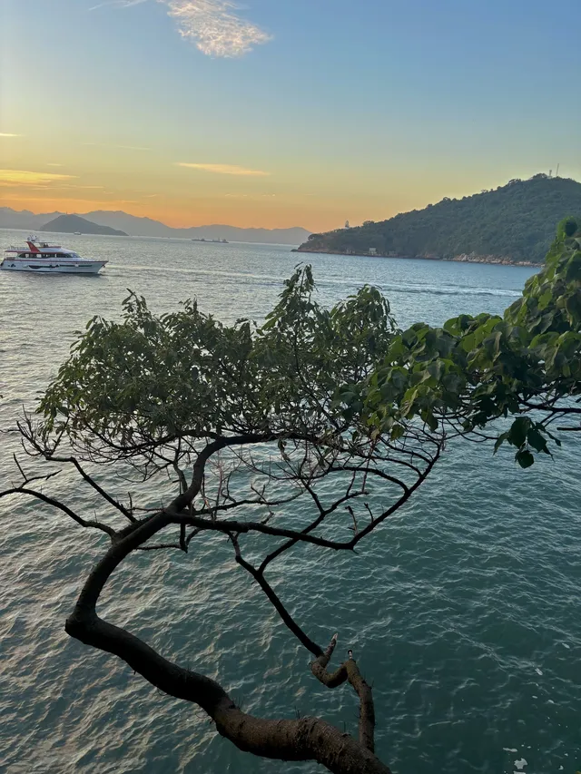 香港堅尼地城旁15min 路程西環泳棚|值得嗎 香港堅尼地城旁15min 路程西環泳棚|值得嗎