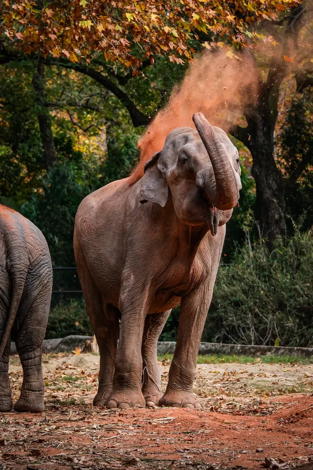 上海動物園‖動物攝影師的天堂 上海動物園‖動物攝影師的天堂