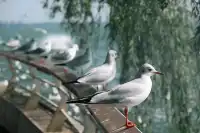 獨自旅行| 7天6晚,在雲南