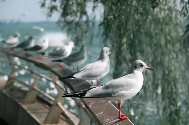 獨自旅行| 7天6晚,在雲南 獨自旅行| 7天6晚,在雲南