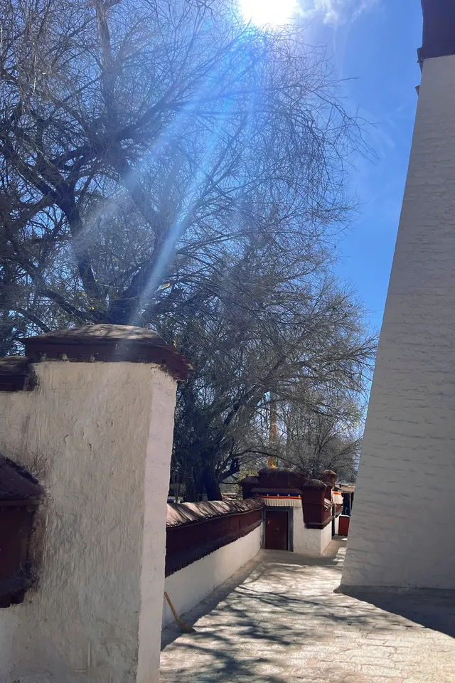 西藏day3|色拉寺 ·冬日拉薩鮮活的午後 西藏day3|色拉寺 ·冬日拉薩鮮活的午後