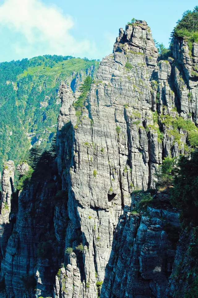 神農谷底實拍‖走進仙境裡了 神農谷底實拍‖走進仙境裡了