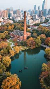 上海遇見黑天鵝|徐家匯公園裡的百年光影詩篇