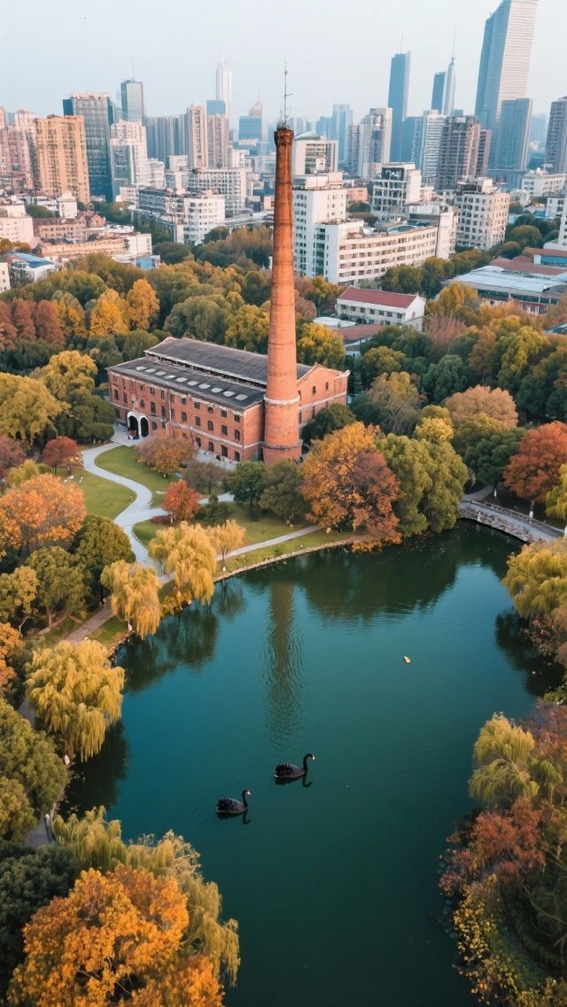 上海遇見黑天鵝|徐家匯公園裡的百年光影詩篇 上海遇見黑天鵝|徐家匯公園裡的百年光影詩篇