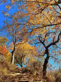 台州賞秋封神4條徒步路線建議收藏~