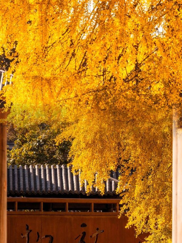 迄今為止,我最愛的江南古鎮出現啦 迄今為止,我最愛的江南古鎮出現啦