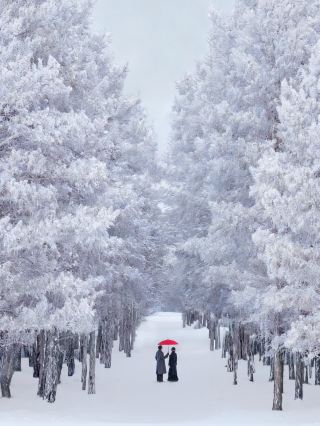 Winter in Hulunbuir is as beautiful as a movie…