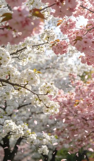 初春の漢山植物園｜秦巴山間に落ちる春の日の花便り、漢山北麓の朝霧の中で触れる