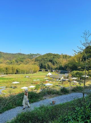 Побег из города! Отдых с питомцем в роскошном отеле в долине