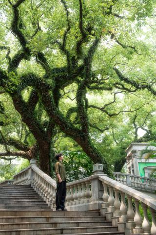 For those with low energy, it's recommended to visit this park in Foshan..