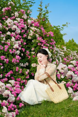 Jinan Huashan Rose Flower Waterfall Exclusive in Late Spring