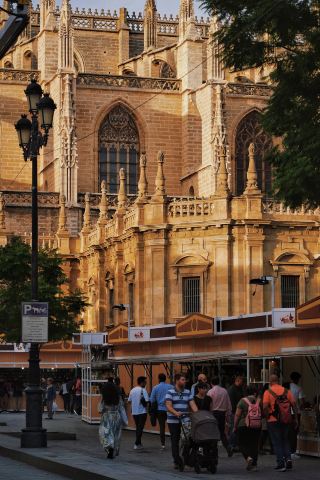 Seville one-day special forces guide: walk nonstop