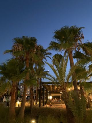 Lovely Hotel Stay with Minor Food and Drink Issues