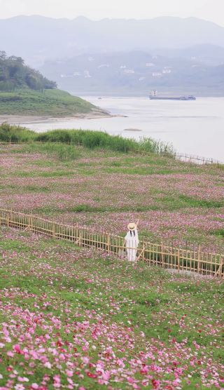 重慶周辺の穴場日帰り旅行|木洞河街で癒やしの散策ガイド