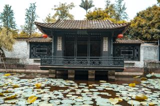 A traditional spot for lotus viewing by the pond, experience Chinese-style romance at Shunde Qinghui Garden