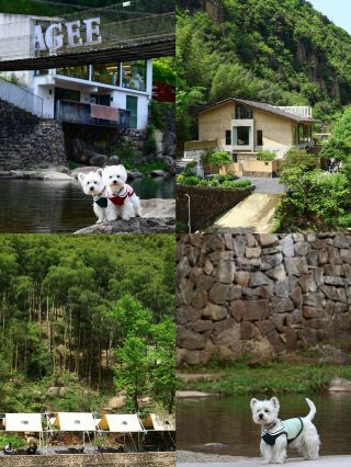 Hidden gem homestay in the Anji mountains | Pet-friendly, stream trekking, and summer escape