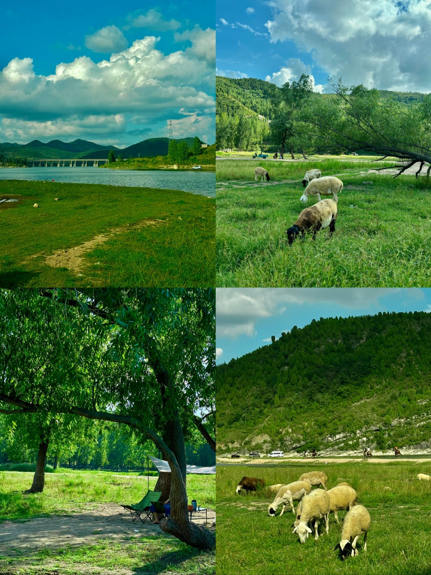 Shandong weekend chill guide: 4 hidden gem small cities just 1h away by high-speed rail! Uncrowded and relaxing