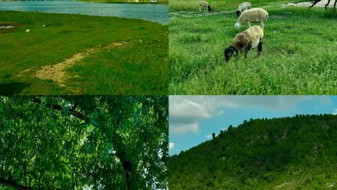 Shandong weekend chill guide: 4 hidden gem small cities just 1h away by high-speed rail! Uncrowded and relaxing — traveler post in Dong'e