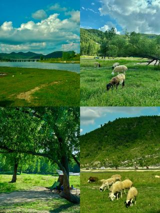 Shandong weekend chill guide: 4 hidden gem small cities just 1h away by high-speed rail! Uncrowded and relaxing