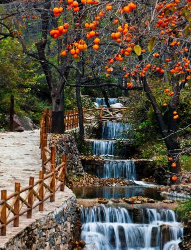 Autumn has arrived at Yunqiu Mountain, the perfect time to explore the red leaves and the thousand-year-old stone village together.