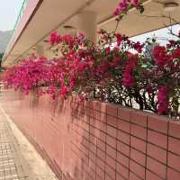 Airy, Spacious and Easily Reached Park