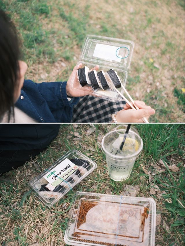 日本 | 不要錯過的京都絕美賞櫻景點~