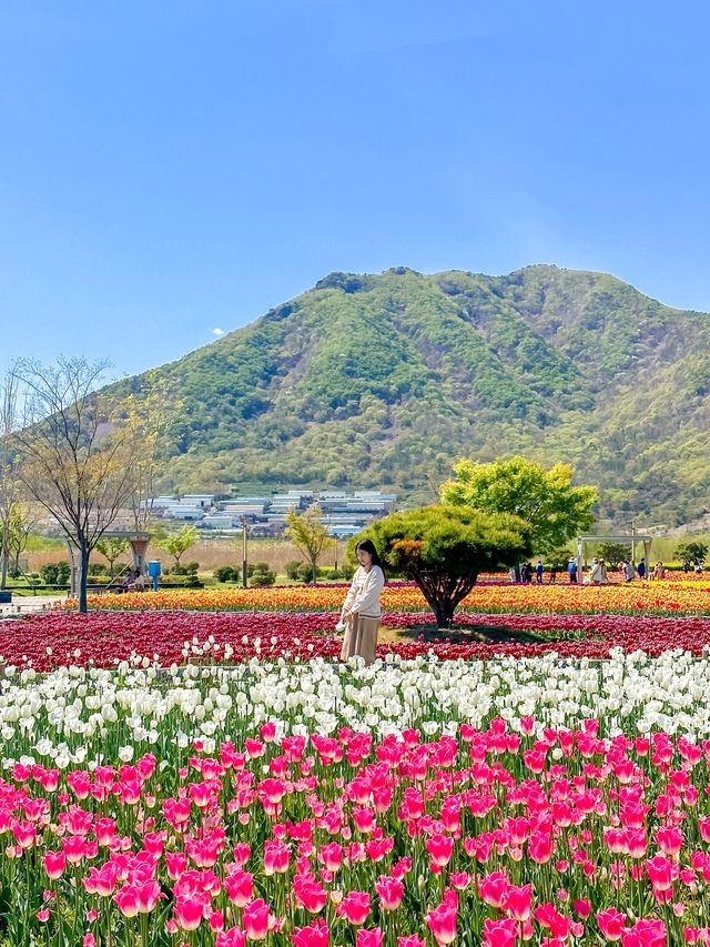 지금 당장 양산에 가야하는 EU 🌷🩷