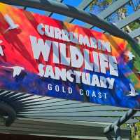 Currumbin Wildlufe Sanctuary 
