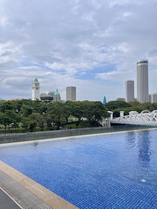 수영장이 아름다운 싱가포르 풀러턴 호텔에서 호캉스💙