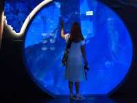 Aquaria Phuket อความเรียมยืนหนึ่งในภูเก็ต