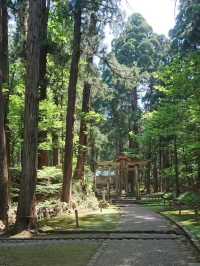 【福井】白山平泉寺／平泉寺白山神社