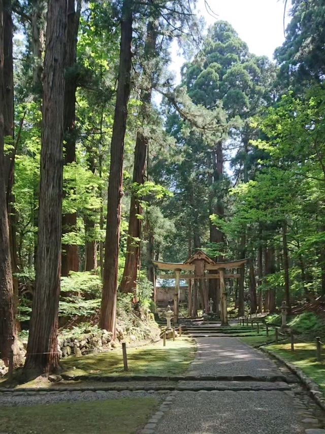 【福井】白山平泉寺／平泉寺白山神社