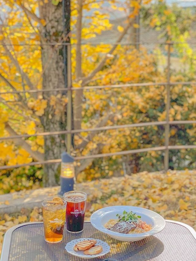 가을이 되면 더 예쁜, 청주 은행나무 뷰 카페💛