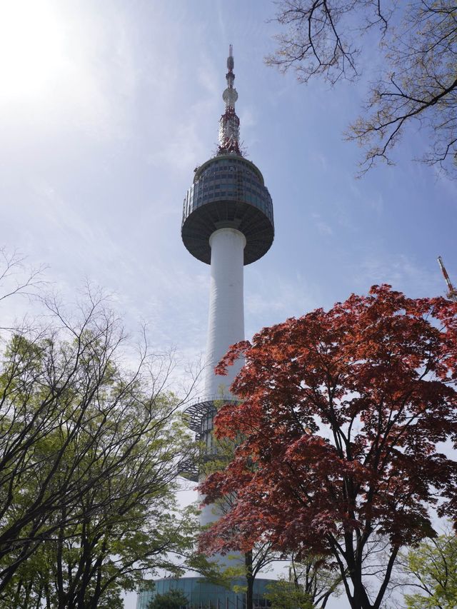 hi Seoul, I'm up here! 