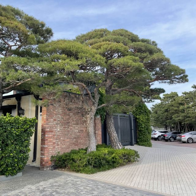 자연고ㅏ어우러진 미술관🌿