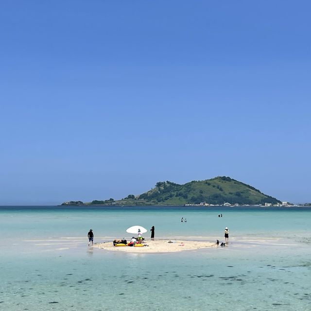 야자수가 드리운 얕은 해변 금능해수욕장🌴🌊