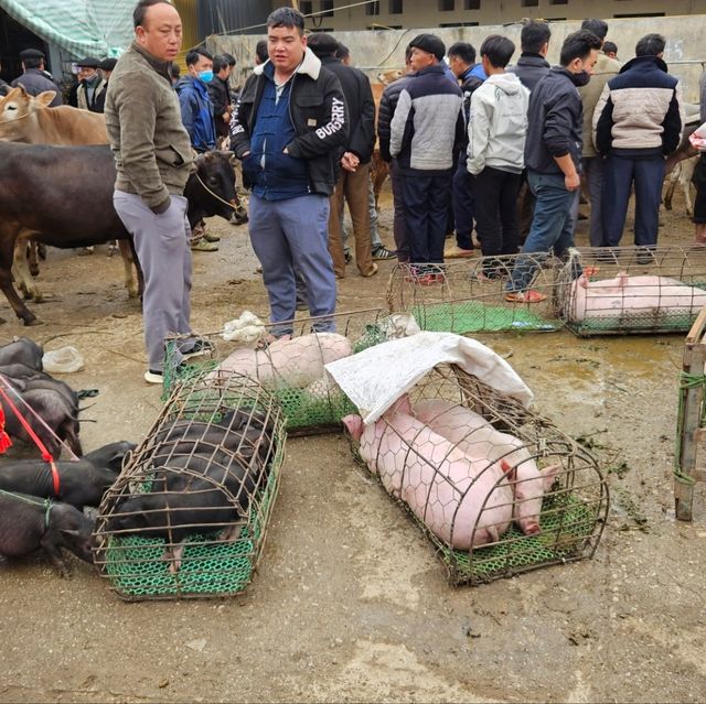 Market in Ha Giang are lively n noisy
