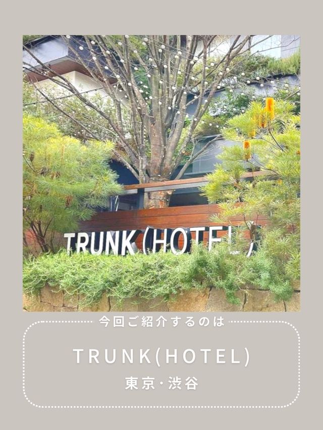 【渋谷】わんこと行けるおしゃれテラス☕️