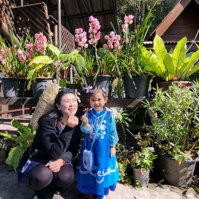 แม่กำปอง ถิ่นธรรมชาติ