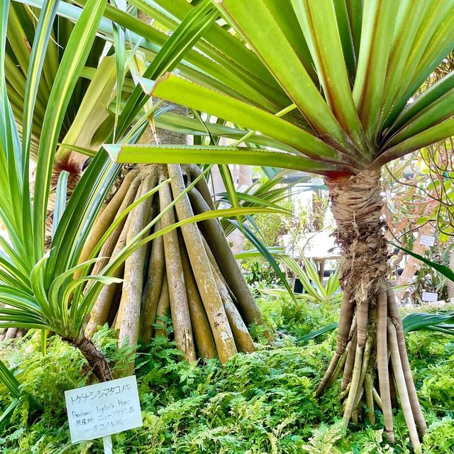 【静岡】熱川バナナワニ園🌼温泉を利用してるって✨