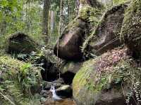 Day adventure to gunung ledang