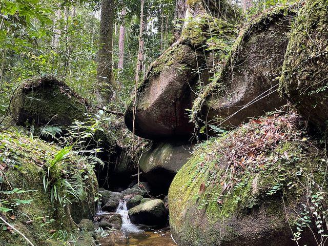 Day adventure to gunung ledang