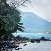 หาดไตรตรัง ภูเก็ต