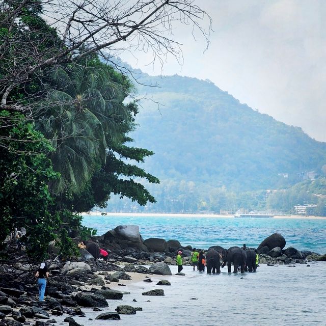 หาดไตรตรัง ภูเก็ต