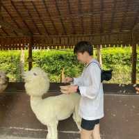 ราชบุรีกับคุณแฟน