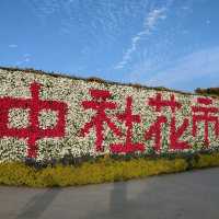 台中后里 | 中社花市，美麗的中部小花海