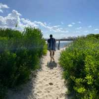 amazing Sydney beach Australia 